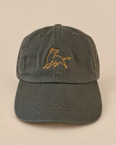 Gorra FIERRO 3X Gris Olivo